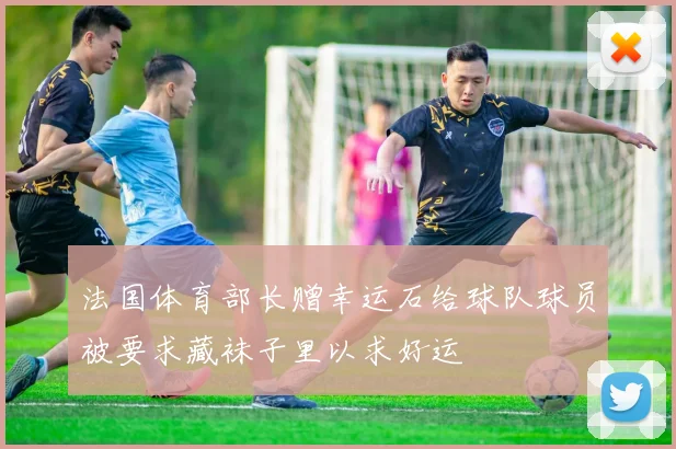 法国体育部长赠幸运石给球队球员被要求藏袜子里以求好运