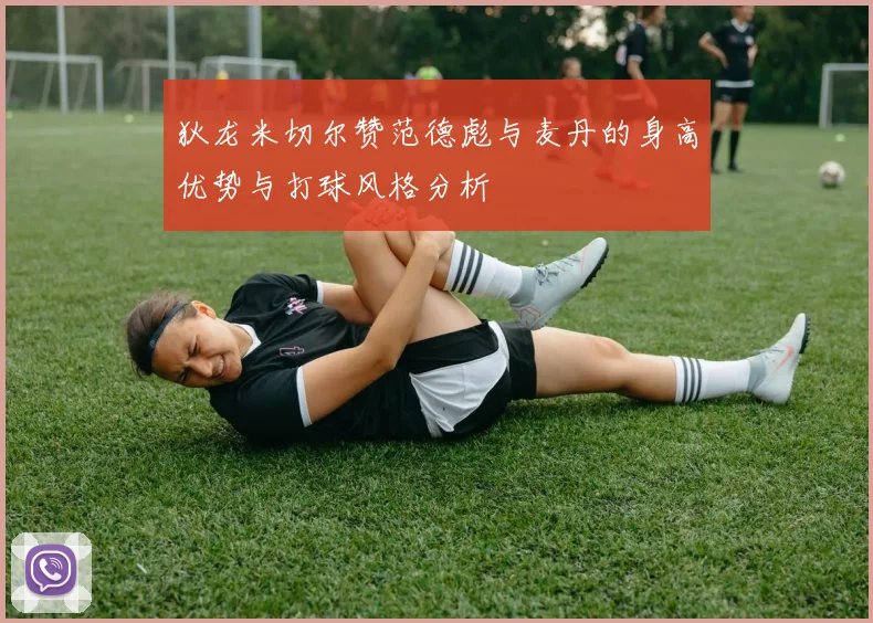 狄龙米切尔赞范德彪与麦丹的身高优势与打球风格分析
